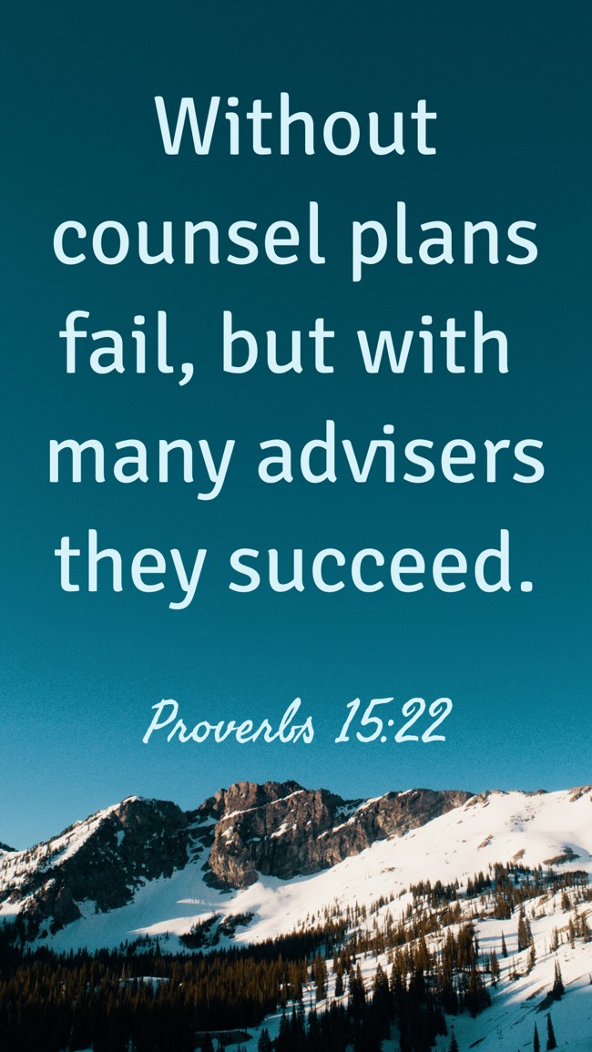 Without counsel plans fail, but with many advisers they succeed. - Proverbs 15:22