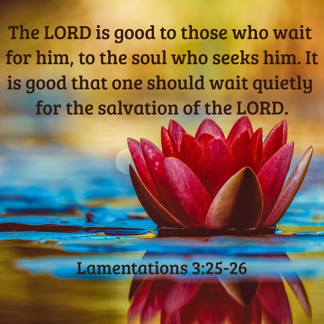 The LORD is good to those who wait for him, to the soul who seeks him. It is good that one should wait quietly for the salvation of the LORD. - Lamentations 3:25-26