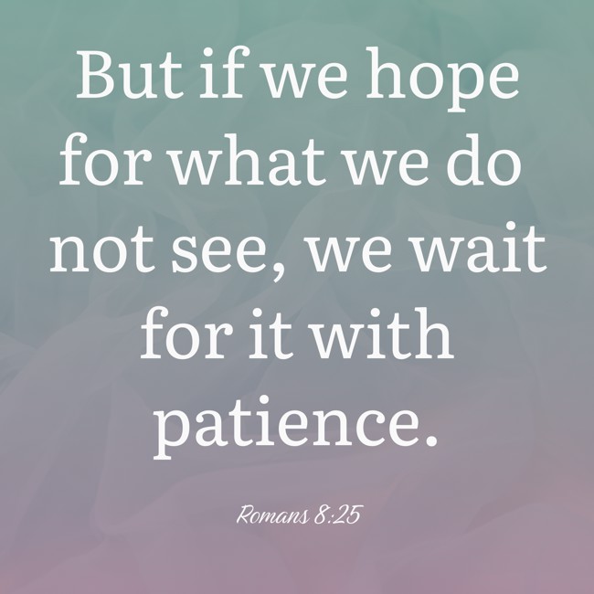 But if we hope for what we do not see, we wait for it with patience. - Romans 8:25