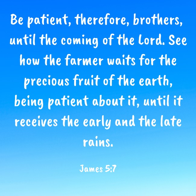 Be patient, therefore, brothers, until the coming of the Lord. See how the farmer waits for the precious fruit of the earth, being patient about it, until it receives the early and the late rains. - James 5:7