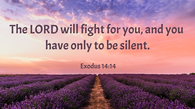 The LORD will fight for you, and you have only to be silent. - Exodus 14:14