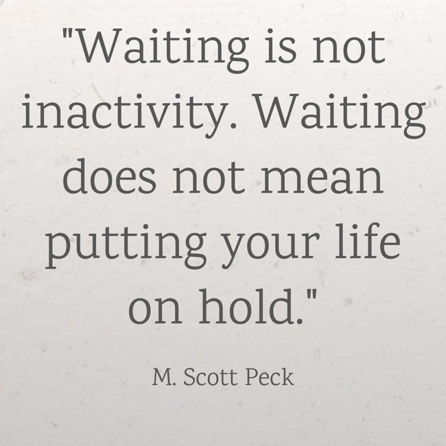 Waiting is not inactivity. Waiting does not mean putting your life on hold. - M. Scott Peck