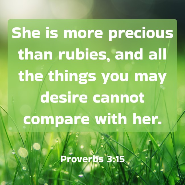She is more precious than rubies, and all the things you may desire cannot compare with her. - Proverbs 3:15