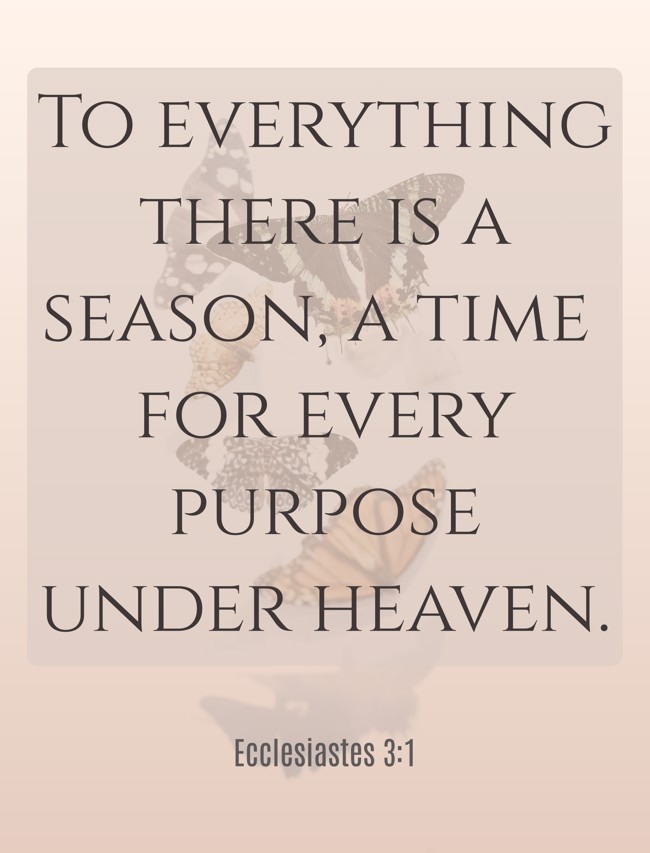 To everything there is a season, a time for every purpose under heaven. - Ecclesiastes 3:1