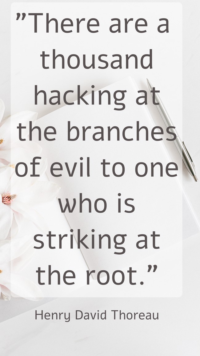 There are a thousand hacking at the branches of evil to one who is striking at the root.
- Henry David Thoreau