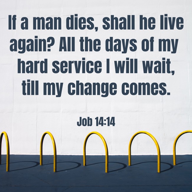 If a man dies, shall he live again? All the days of my hard service I will wait, till my change comes. - Job 14:14