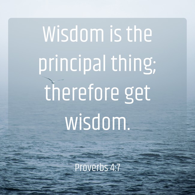 Wisdom is the principal thing; therefore get wisdom. - Proverbs 4:7