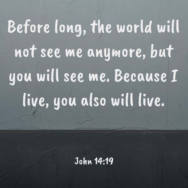 Before long, the world will not see me anymore, but you will see me. Because I live, you also will live. - John 14:19