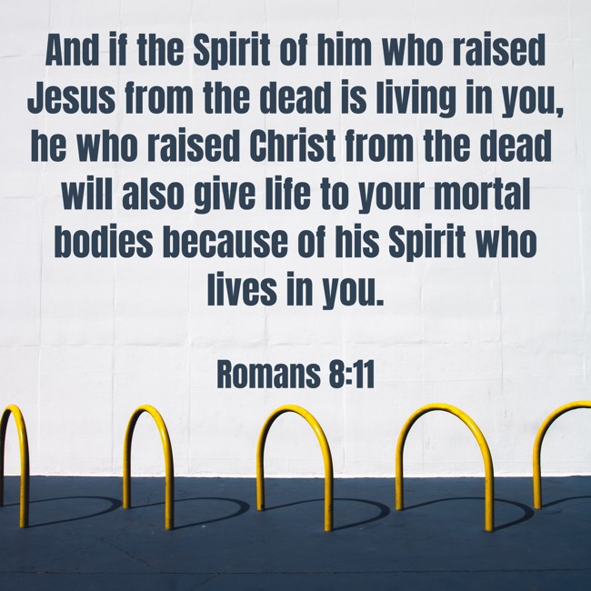 And if the Spirit of him who raised Jesus from the dead is living in you, he who raised Christ from the dead will also give life to your mortal bodies because of his Spirit who lives in you. - Romans 8:11