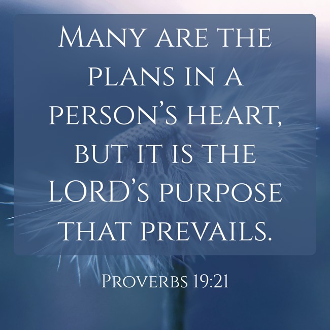 Many are the plans in a person’s heart, but it is the LORD’s purpose that prevails. - Proverbs 19:21