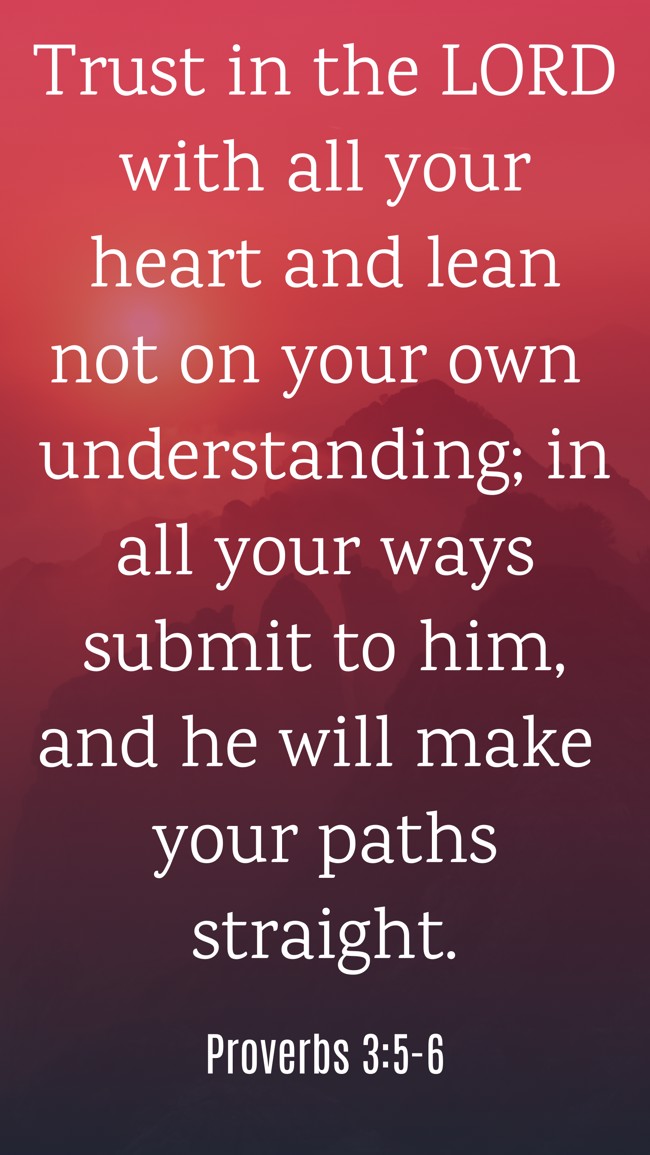 Trust in the LORD with all your heart and lean not on your own understanding; in all your ways submit to him, and he will make your paths straight. - Proverbs 3:5-6