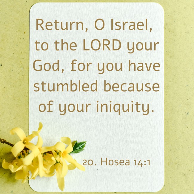 Return, O Israel, to the LORD your God, for you have stumbled because of your iniquity. - 20. Hosea 14:1