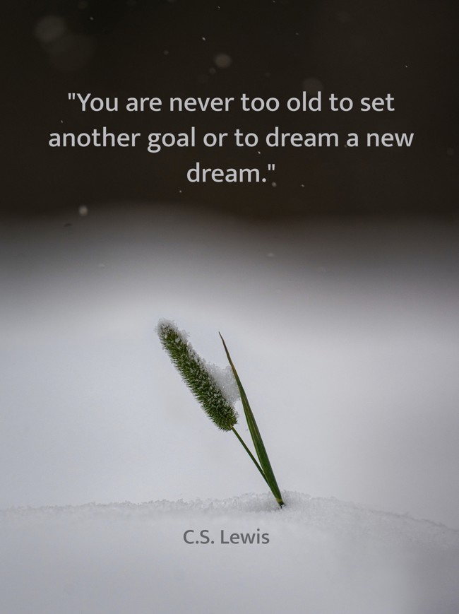 You are never too old to set another goal or to dream a new dream. - C.S. Lewis