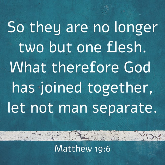 So they are no longer two but one flesh. What therefore God has joined together, let not man separate. - Matthew 19:6