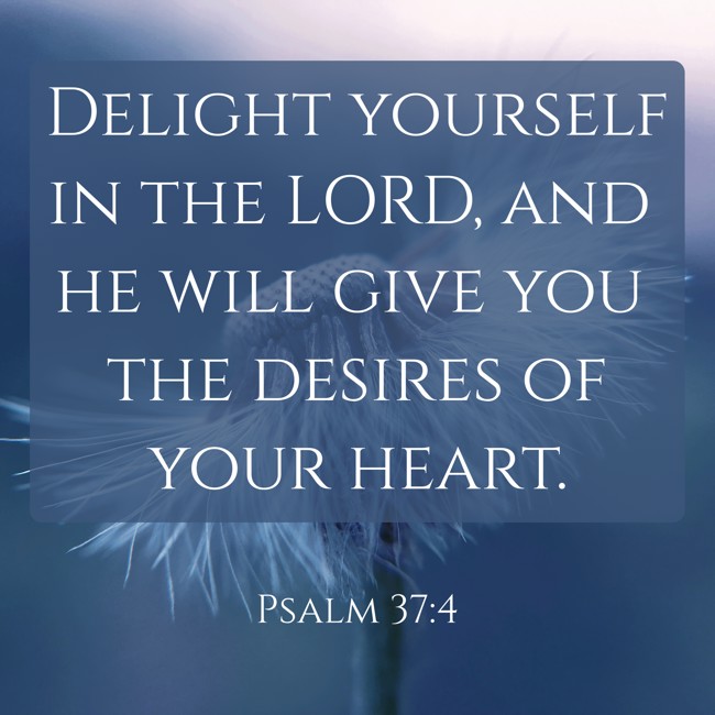Delight yourself in the LORD, and he will give you the desires of your heart. - Psalm 37:4