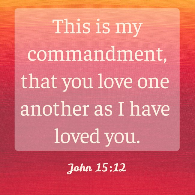 This is my commandment, that you love one another as I have loved you. - John 15:12