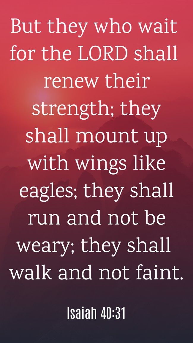 But they who wait for the LORD shall renew their strength; they shall mount up with wings like eagles; they shall run and not be weary; they shall walk and not faint. - Isaiah 40:31