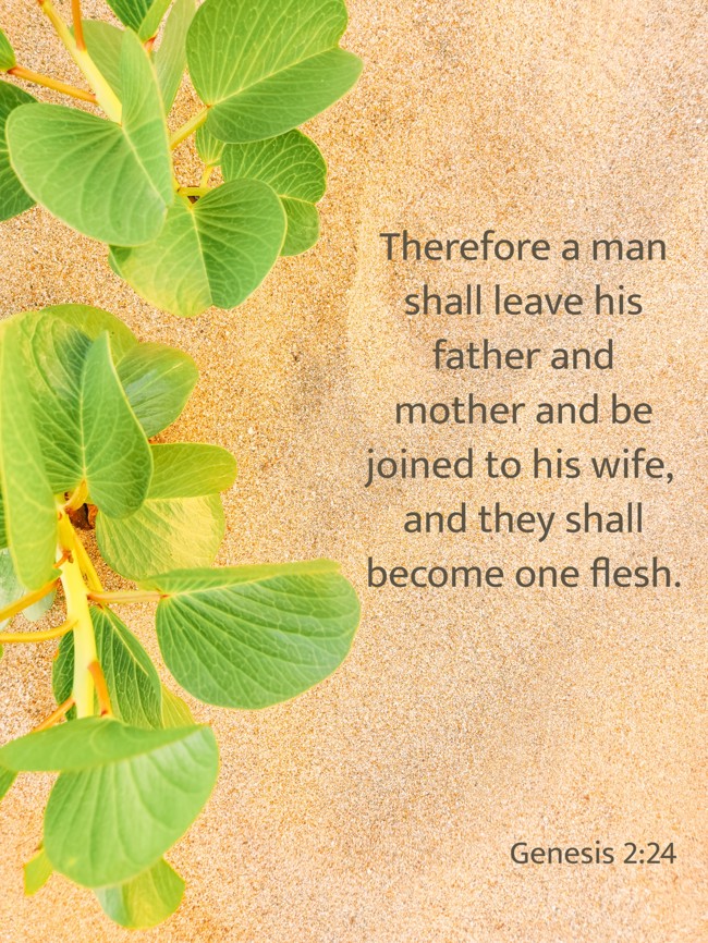 Therefore a man shall leave his father and mother and be joined to his wife, and they shall become one flesh. - Genesis 2:24