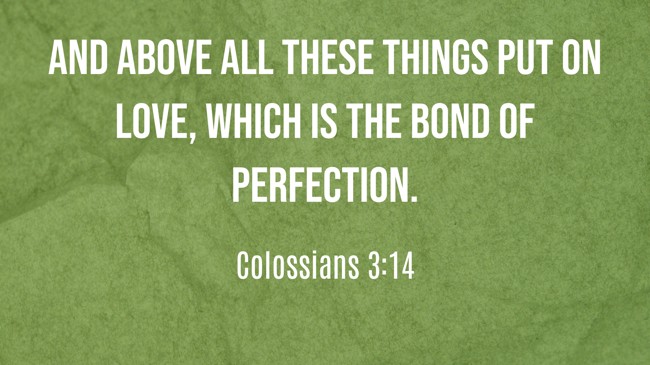 And above all these things put on love, which is the bond of perfection. - Colossians 3:14