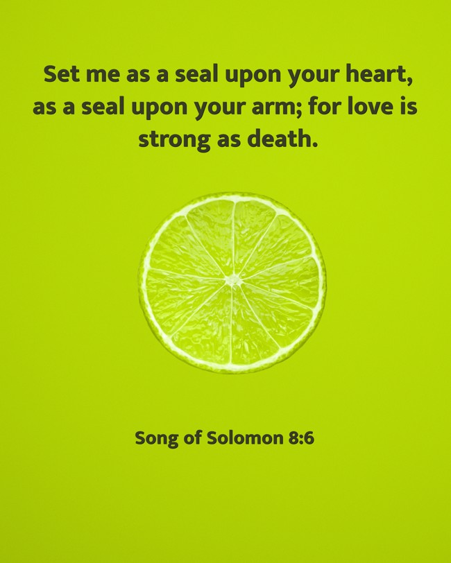Set me as a seal upon your heart, as a seal upon your arm; for love is strong as death. - Song of Solomon 8:6