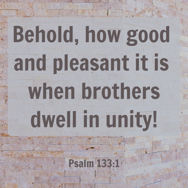 Behold, how good and pleasant it is when brothers dwell in unity! - Psalm 133:1