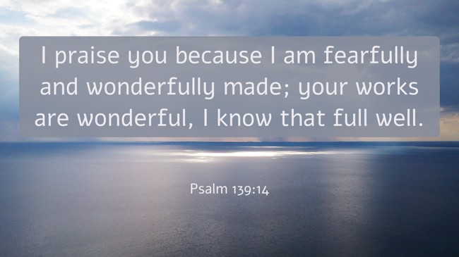 I praise you because I am fearfully and wonderfully made; your works are wonderful, I know that full well. - Psalm 139:14