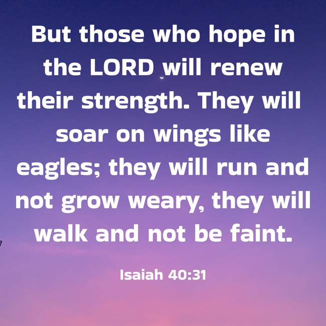 But those who hope in the LORD will renew their strength. They will soar on wings like eagles; they will run and not grow weary, they will walk and not be faint. - Isaiah 40:31