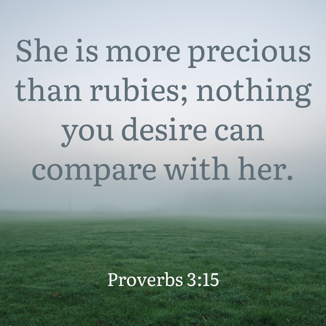 She is more precious than rubies; nothing you desire can compare with her. - Proverbs 3:15