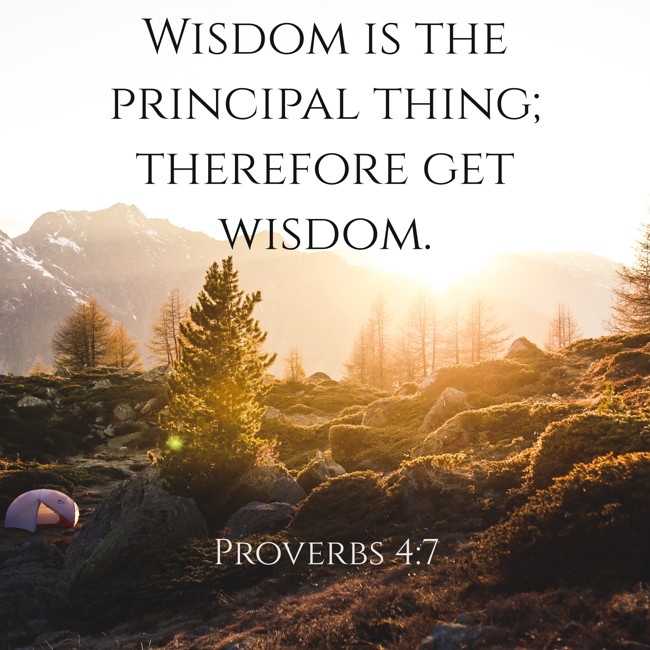 Wisdom is the principal thing; therefore get wisdom. - Proverbs 4:7