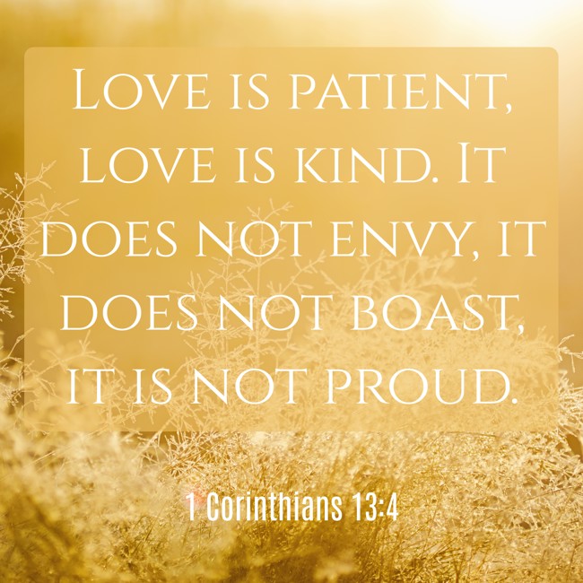 Love is patient, love is kind. It does not envy, it does not boast, it is not proud. - 1 Corinthians 13:4