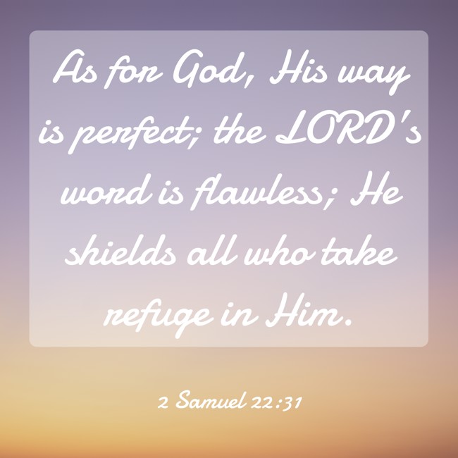 As for God, His way is perfect; the LORD’s word is flawless; He shields all who take refuge in Him. - 2 Samuel 22:31