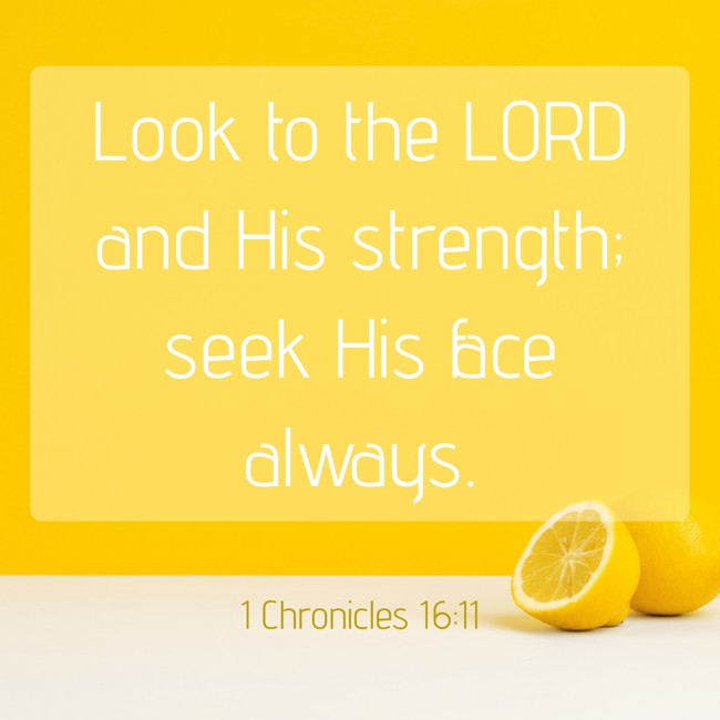 Look to the LORD and His strength; seek His face always. - 1 Chronicles 16:11