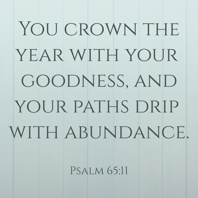You crown the year with your goodness, and your paths drip with abundance. - Psalm 65:11