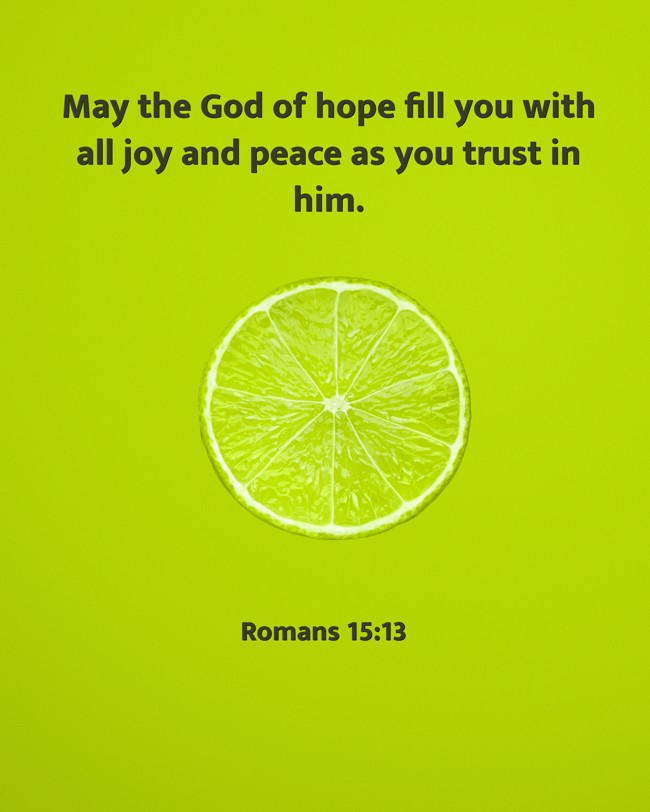 May the God of hope fill you with all joy and peace as you trust in him. - Romans 15:13