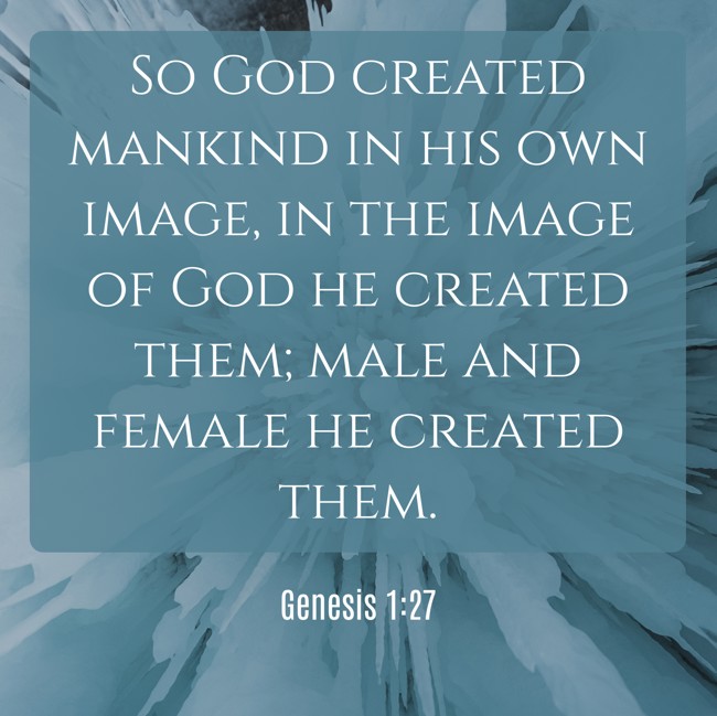So God created mankind in his own image, in the image of God he created them; male and female he created them. - Genesis 1:27
