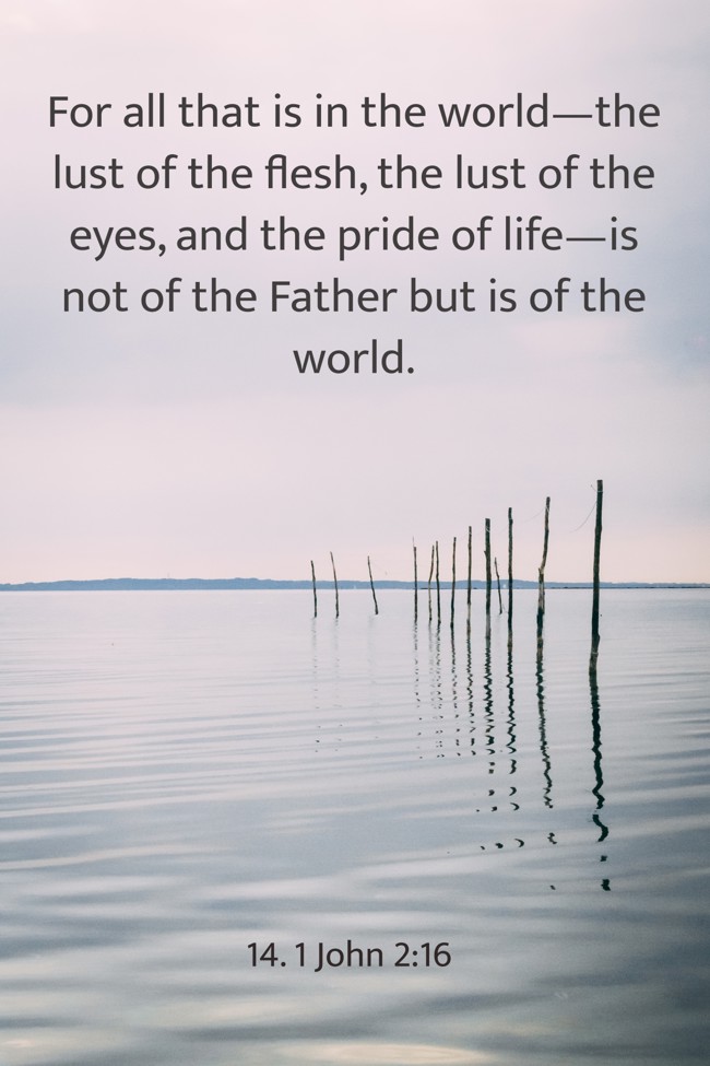 For all that is in the world—the lust of the flesh, the lust of the eyes, and the pride of life—is not of the Father but is of the world. - 14. 1 John 2:16
