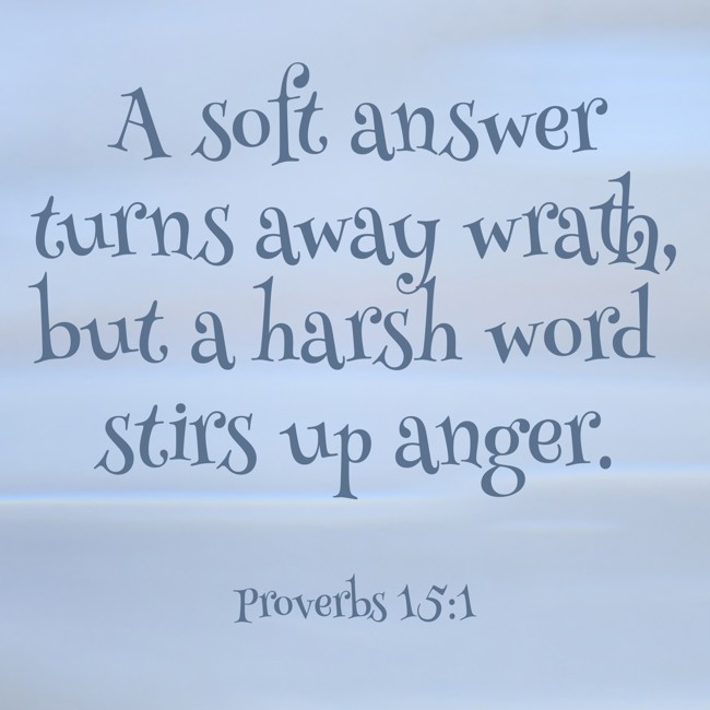 A soft answer turns away wrath, but a harsh word stirs up anger. - Proverbs 15:1