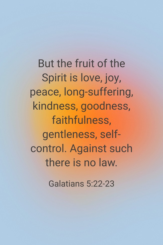 But the fruit of the Spirit is love, joy, peace, long-suffering, kindness, goodness, faithfulness, gentleness, self-control. Against such there is no law. - Galatians 5:22-23