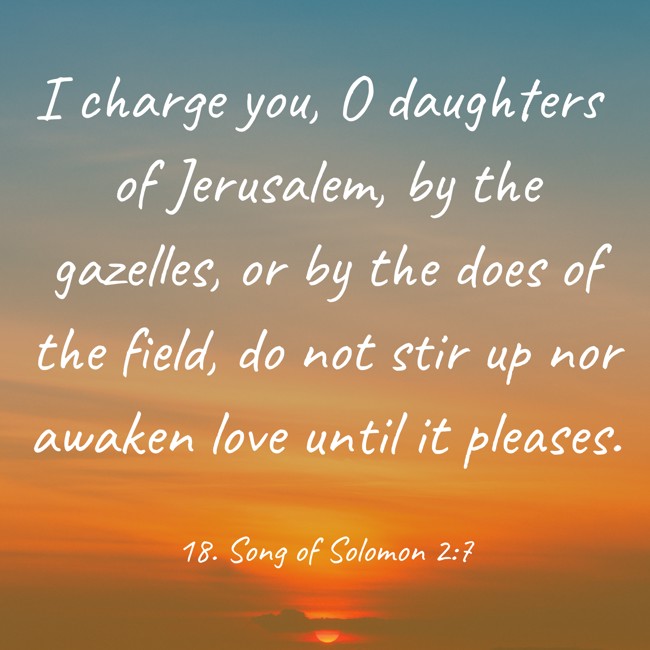 I charge you, O daughters of Jerusalem, by the gazelles, or by the does of the field, do not stir up nor awaken love until it pleases. - 18. Song of Solomon 2:7