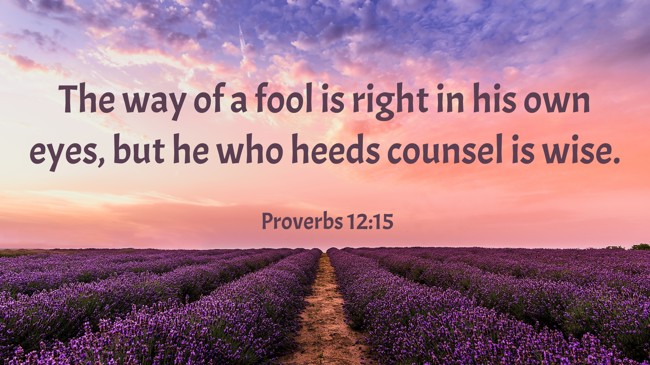 The way of a fool is right in his own eyes, but he who heeds counsel is wise. - Proverbs 12:15