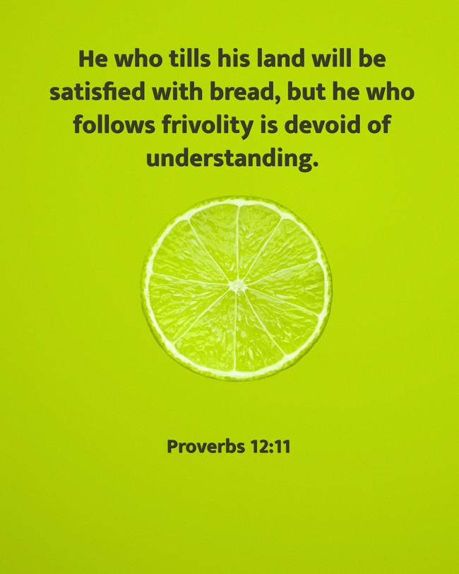  He who tills his land will be satisfied with bread, but he who follows frivolity is devoid of understanding.   - Proverbs 12:11 