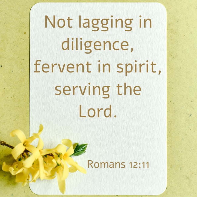  Not lagging in diligence, fervent in spirit, serving the Lord.   - Romans 12:11 