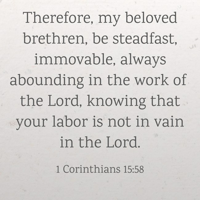  Therefore, my beloved brethren, be steadfast, immovable, always abounding in the work of the Lord, knowing that your labor is not in vain in the Lord.   - 1 Corinthians 15:58 