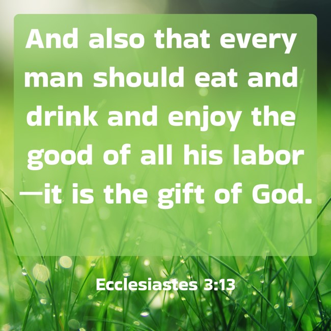 And also that every man should eat and drink and enjoy the good of all his labor—it is the gift of God.   - Ecclesiastes 3:13 