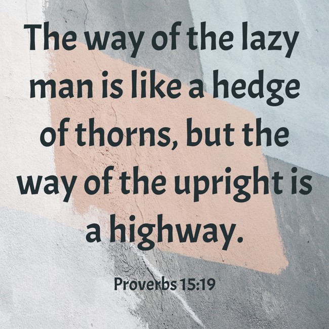 The way of the lazy man is like a hedge of thorns, but the way of the upright is a highway.   - Proverbs 15:19 