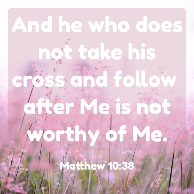 And he who does not take his cross and follow after Me is not worthy of Me. - Matthew 10:38