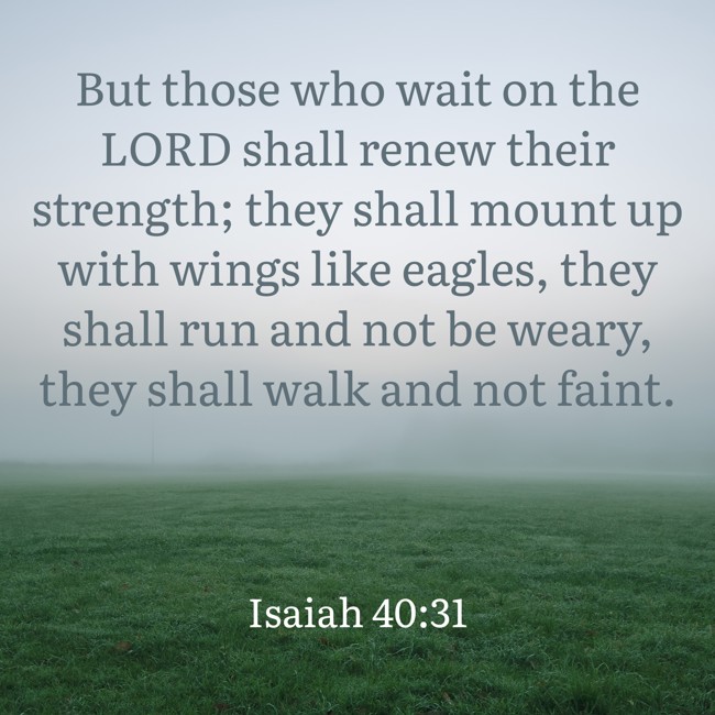 But those who wait on the LORD shall renew their strength; they shall mount up with wings like eagles, they shall run and not be weary, they shall walk and not faint. - Isaiah 40:31
