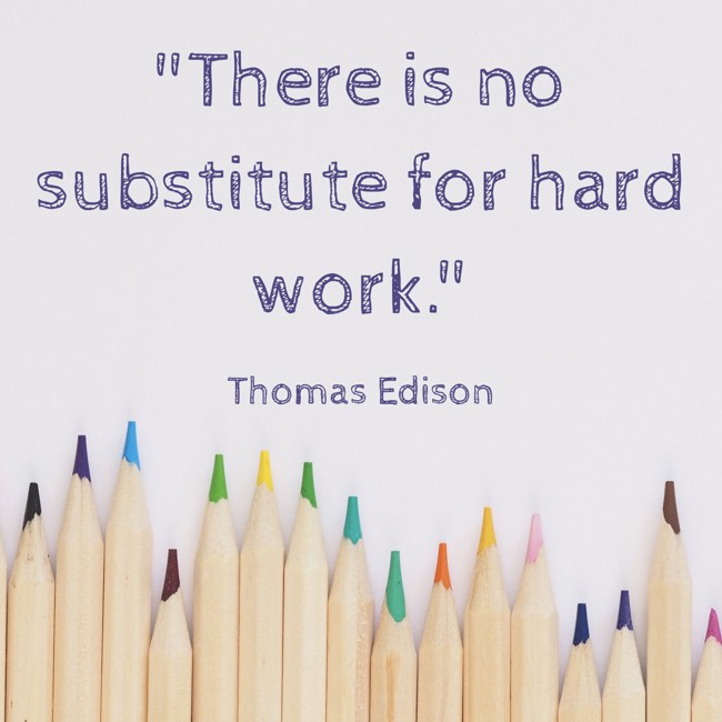  There is no substitute for hard work.   - Thomas Edison 