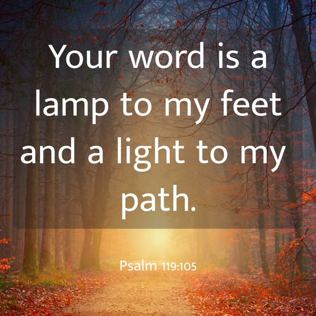 Your word is a lamp to my feet and a light to my path. - Psalm 119:105
