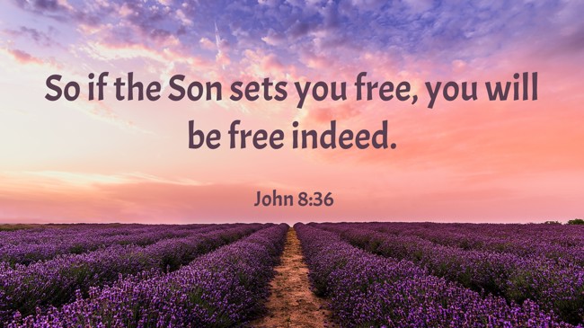 So if the Son sets you free, you will be free indeed. - John 8:36
